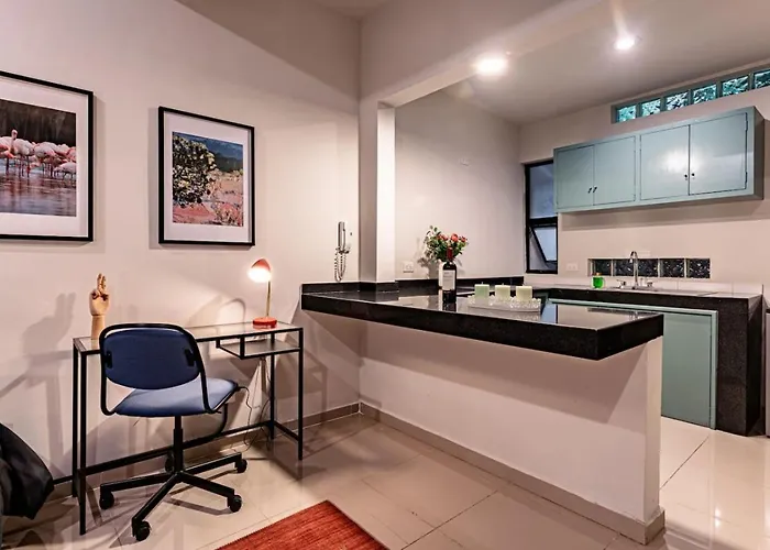 Spacious Condesa Stay, Rooftop Dining, Bbq Mexico City